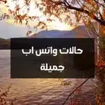 حالات واتس اب جميلة