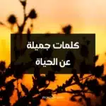 كلمات جميلة عن الحياة