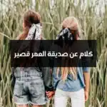 كلام عن صديقة العمر قصير