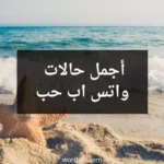 أجمل حالات واتس اب حب