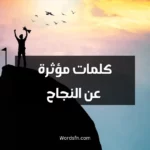 كلمات مؤثرة عن النجاح