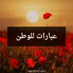 عبارات للوطن