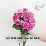 ماهو الرد على كلمة قواك الله