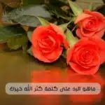 ما هو الرد على كلمة كثر الله خيرك